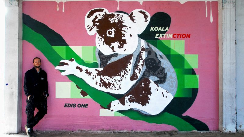 KOALA | EXTINCTION